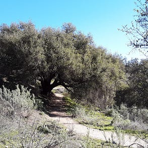 How To Create Keep Your Eye On The Ball Not The By Baird Brightman Medium