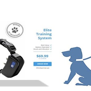 dogtech professional remote trainer