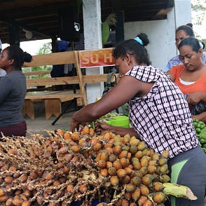 Larah buah Laura Bush