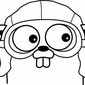 Building APIs with Golang — Part 1: The Setup | by Tanveer Hassan | Medium