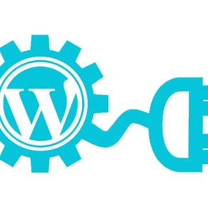 WordPress Theme Design Company India | WordPress Theme Customization  Services | by Serve One Tech | Medium