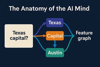 Discover the Anatomy of the AI Mind.