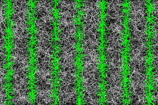 Five Math Discoveries That Continue To Surprise And Delight