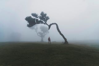 Camus Was Right About Grief: Loss Doesn’t Owe Us Meaning