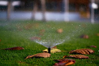 Do Smart Sprinklers Really Conserve Water?