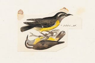 On Choosing to Write My Life