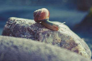 The Power of Slow Leadership