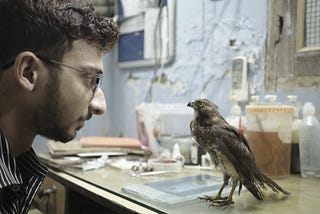 The Soundscape of Indian Documentaries