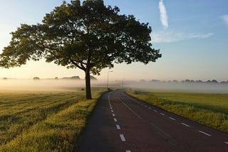 Where We Are Going We Don't Need Roads