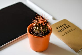 The Solution Field Map: Stress Test Your Options Before You Build