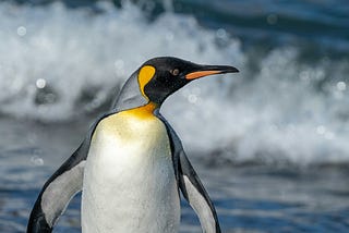 You’ve Been LIED To About Linux
