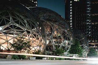 What Working at Amazon Taught Me