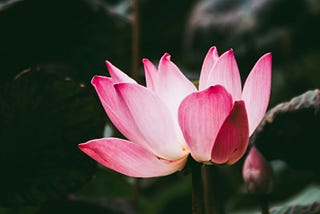 The One Marcus Aurelius Quote I Can't Stop Thinking About