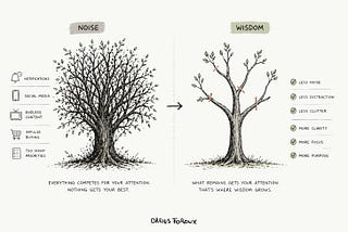 The Basics of Becoming Wise