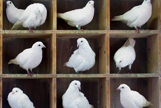 The Simple Beauty of the Pigeonhole Principle
