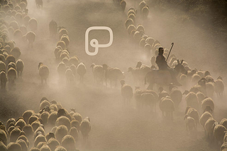 Why Your OKRs Aren’t Moving the Business