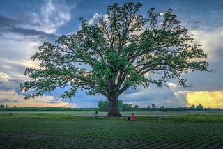 Can we break our addiction to infinite growth?