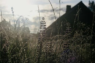 the more you pay attention