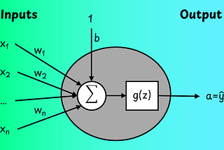 Learn How Neural Networks Work