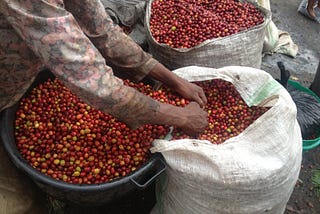Counteracting Neoliberal Politics in the Global South: The Case of a Ugandan Cooperative