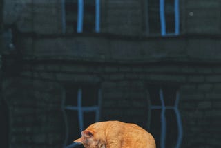 How PHP 8 Quietly Outperforms Many Modern Languages (With Real Technical Proof)