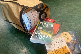 Babysitting Books You Didn’t Ask To Borrow