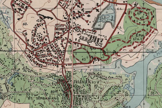 The Old Man and the Pigs: Mr Liau, Jalan Kayu Pig Farms, and Singapore's Lost Memories