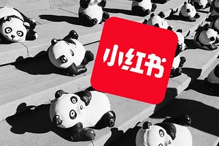 When Americans Meet Chinese on REDnote, Apparently, They Talk About Cats