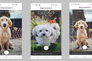 Flutter, CameraX and MediaPipe