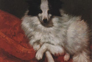 An interview is not a dog show