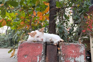 I’m at Resonant Frequency