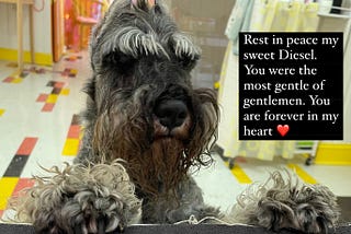 Diesel, Goodbye My Sweet Fella