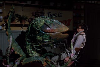 Feed Me, Seymour