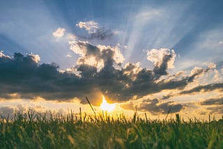 Einstein Figured Out the Meaning of Life. Eckhart Tolle Says He Was Right