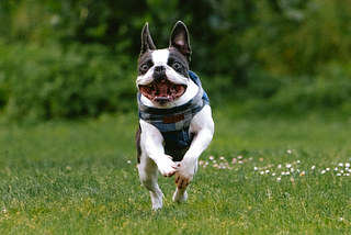 Why Data Fetching, Layout, and Tests Are the 3 Essential Frontend Skills