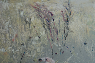 PERENNITY OF WILDFLOWERS, AND THE ART OF THEIR EFFACEMENT