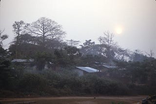 Malarial Dreams