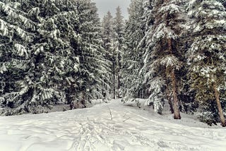 The Business Analyst Winter of Discontent