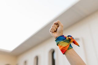 What do we want from our LGBTQI+ history