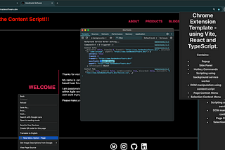 02 | Building a Chrome Extension Template using Vite, React and TypeScript