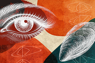 The color statistic that’s been wrong for 80 years
