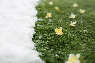 Why We Should Stop Using the Spring Framework