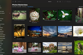 5 Lesser-Known Features in the Photos App (and How to Use Them)
