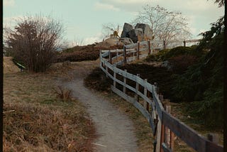 Color Grading Film Scans in DaVinci Resolve