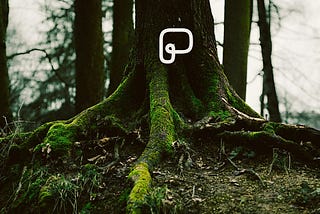 Why You Must Talk About the Why