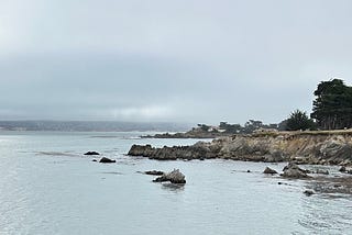 You say: “soft skills”, I say: “Nice career you got there”