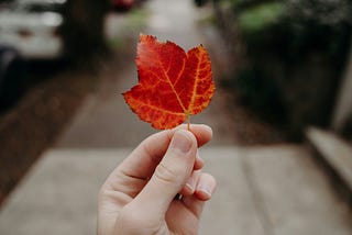 We Are More Like Massive, Colorful Trees Than Heartless Robots