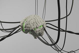What Would Algernon Think of Neuralink?