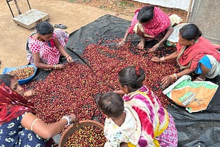 In the Eastern Ghats, India, Climate Change is Erasing the Taste of Home