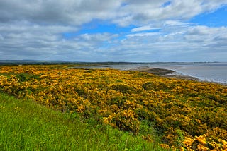 Embo to St. Cyrus: A Journey Through Scotland's Scenic Roads